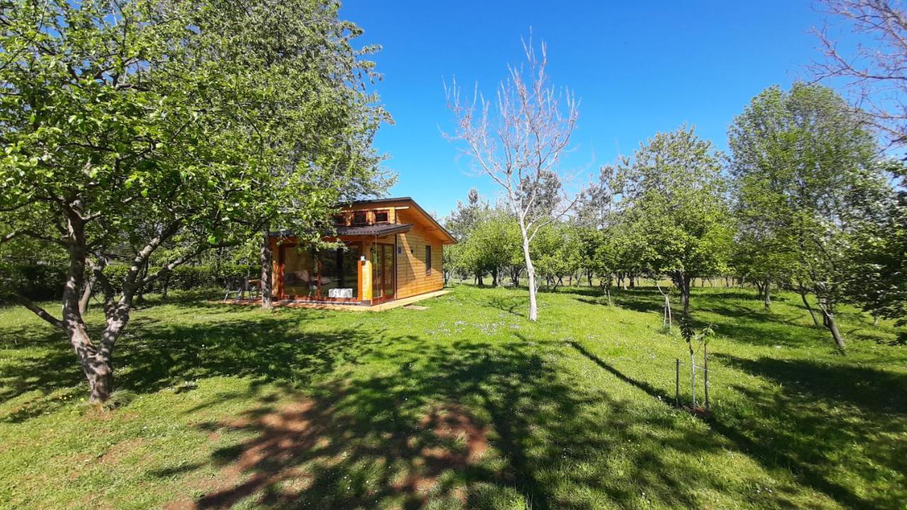 라코비카 Tiny House Grabovac 빌라 외부 사진