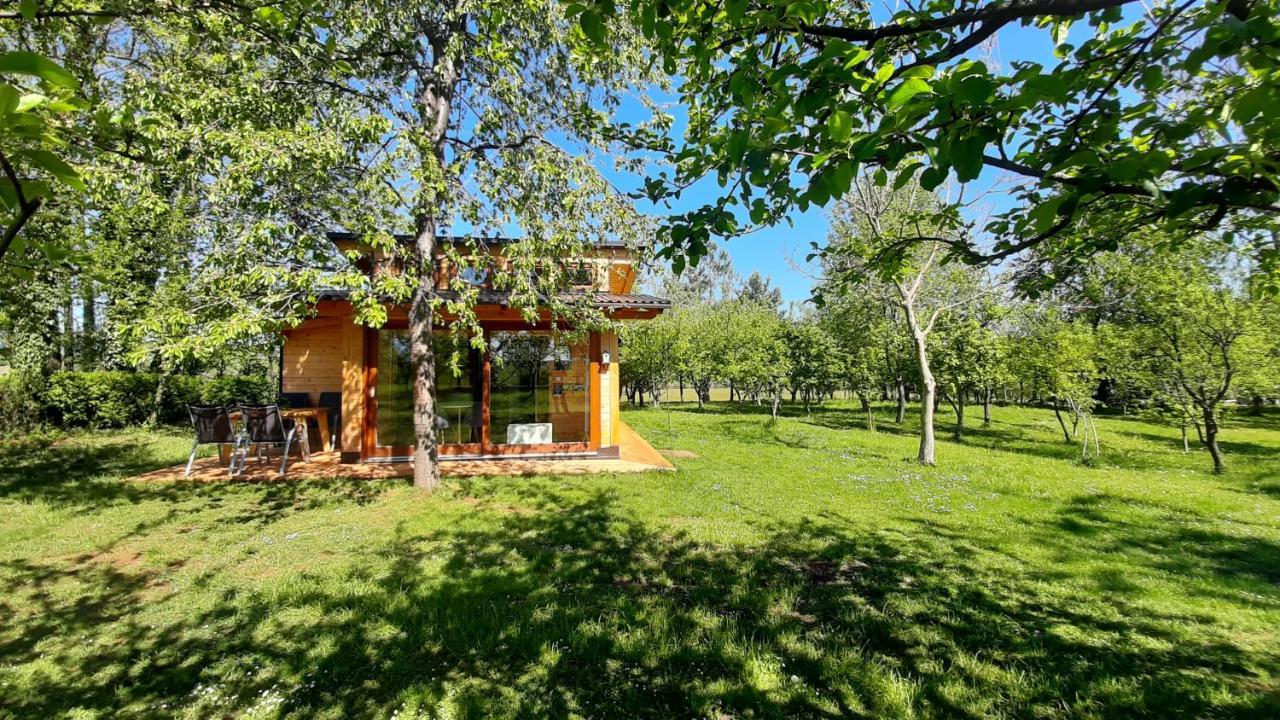 라코비카 Tiny House Grabovac 빌라 외부 사진