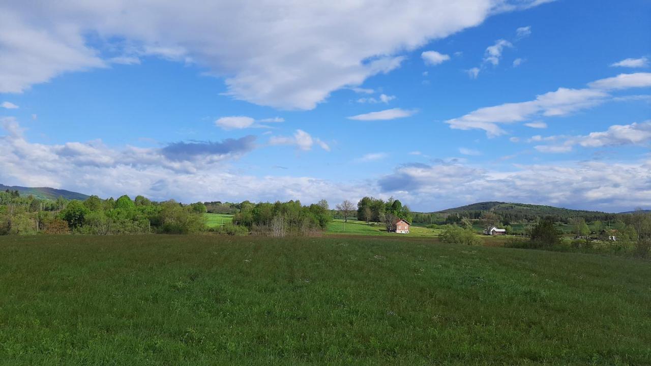 라코비카 Tiny House Grabovac 빌라 외부 사진