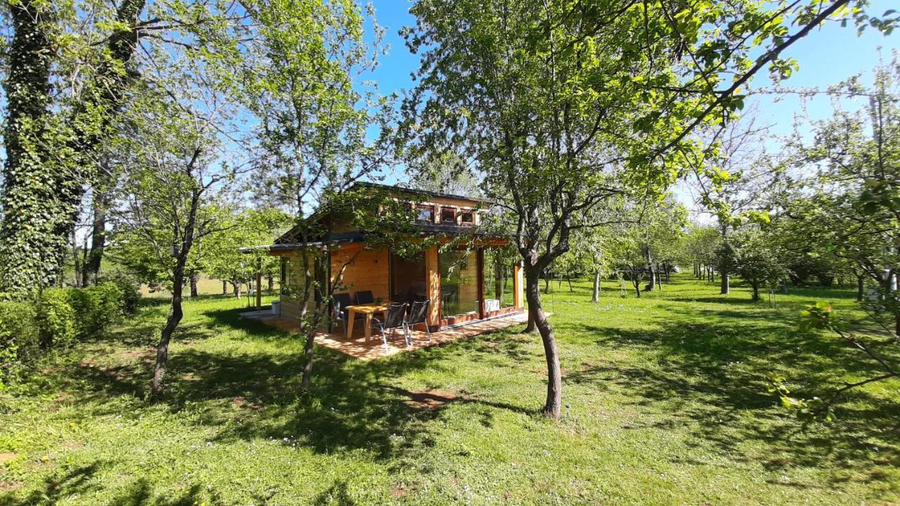 라코비카 Tiny House Grabovac 빌라 외부 사진